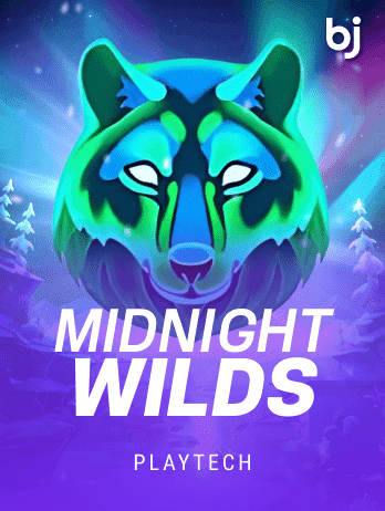 Midnight Wildspng game cover